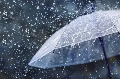 India September Rainfall: ਭਾਰਤ ਵਿਚ ਸਤੰਬਰ ਮਹੀਨੇ ਆਮ ਨਾਲੋਂ ਘੱਟ ਪਵੇਗਾ ਮੀਂਹ